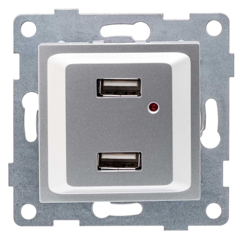 Розетка USB GUSI ELECTRIC Ugra, двойная, СУ, серебро С11USB2-004