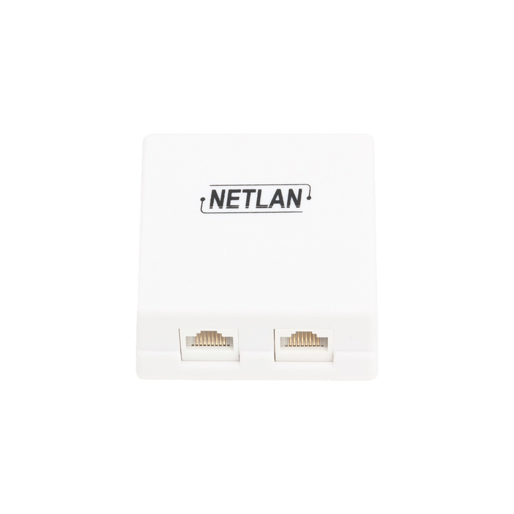 Настенная розетка NETLAN 2 порта, категория 5e, RJ45/8P8C, неэкранированная, белая, EC-UWO-2-UD2-WT-10