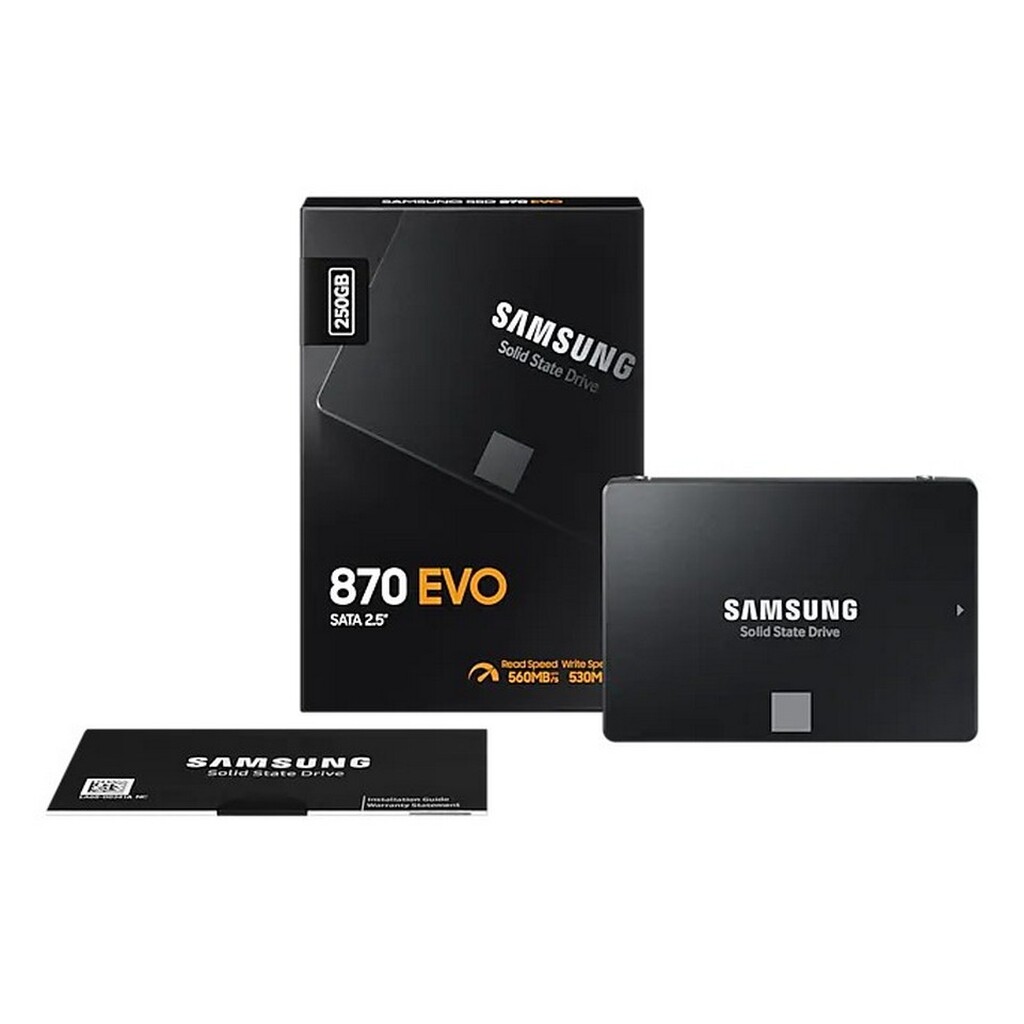 Накопитель SSD Samsung SATA III 250Gb MZ-77E250BW 870 EVO 2.5" (R560/W530MB/s) (MZ-77E250BW)