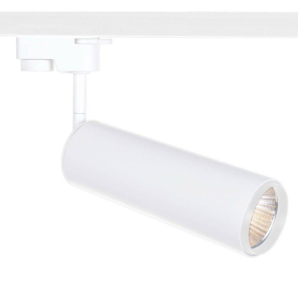 Потолочные светильники Arte Lamp A1412PL-1WH