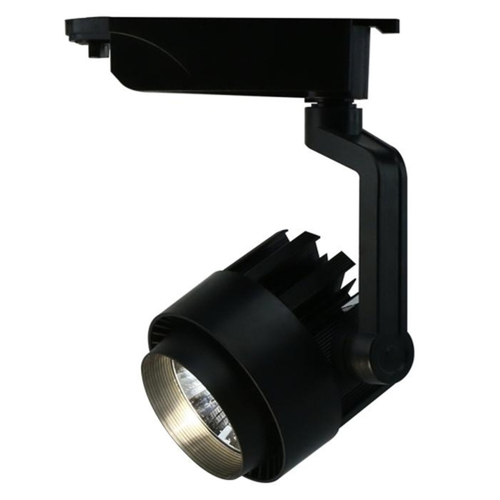 Потолочный светильник Arte Lamp A1620PL-1BK