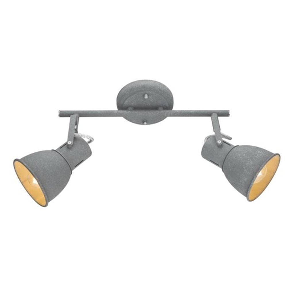 Потолочный светильник Arte Lamp A1677PL-2GY