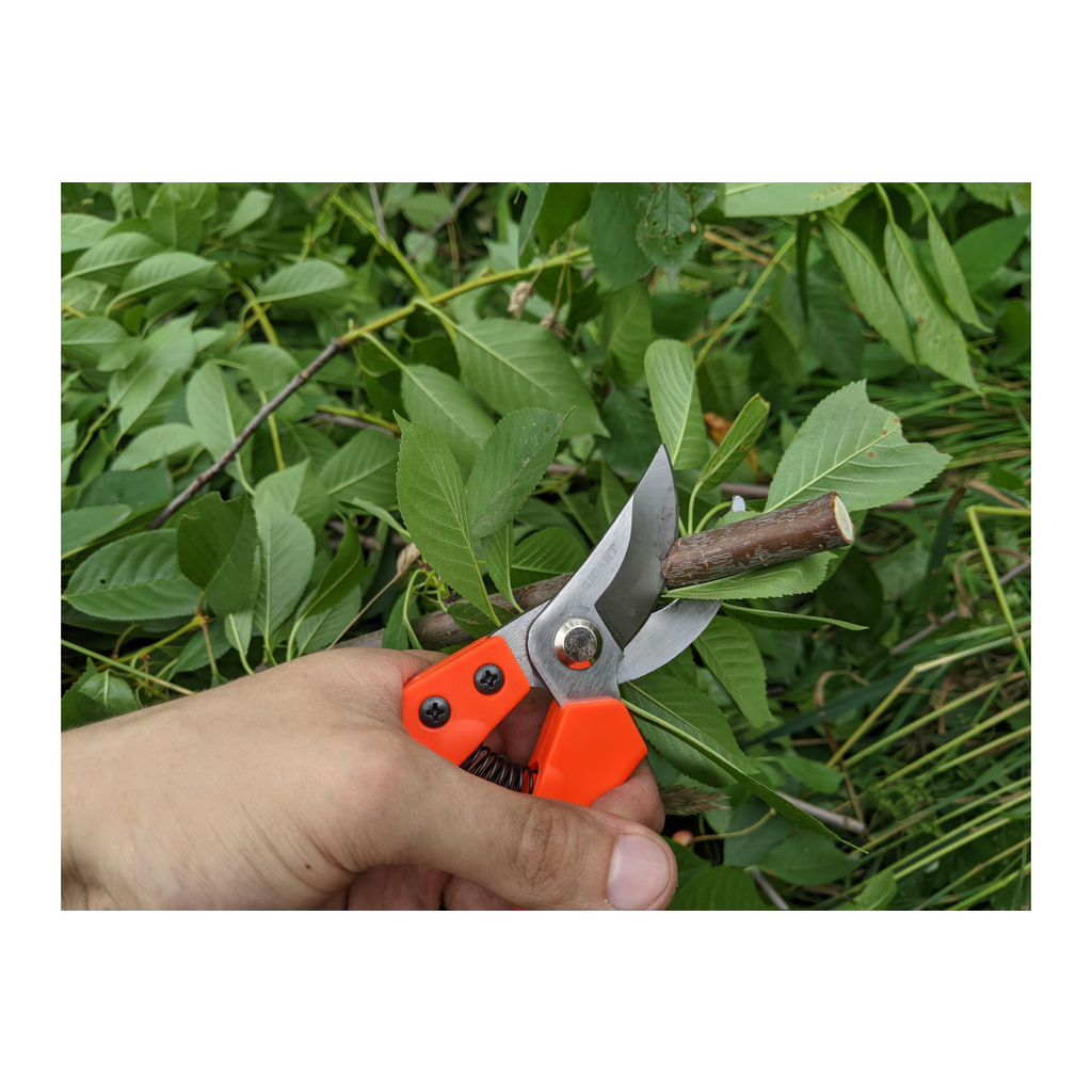 Гигант 200. Секатор pruning Shears. Секатор Алмаз 323080. Секатор Bosch Pro Pruner.