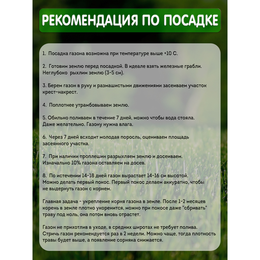 Газон сила Суздаля премиум. Фестулолиум трава для газона описание. Газон сила Суздаля отзывы.