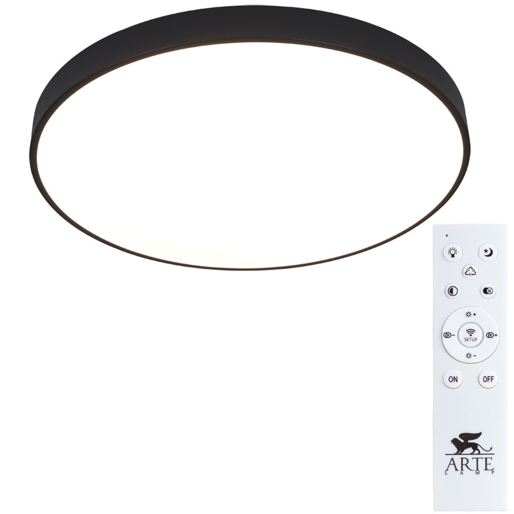 Потолочный светильник Arte Lamp A2673PL-1BK