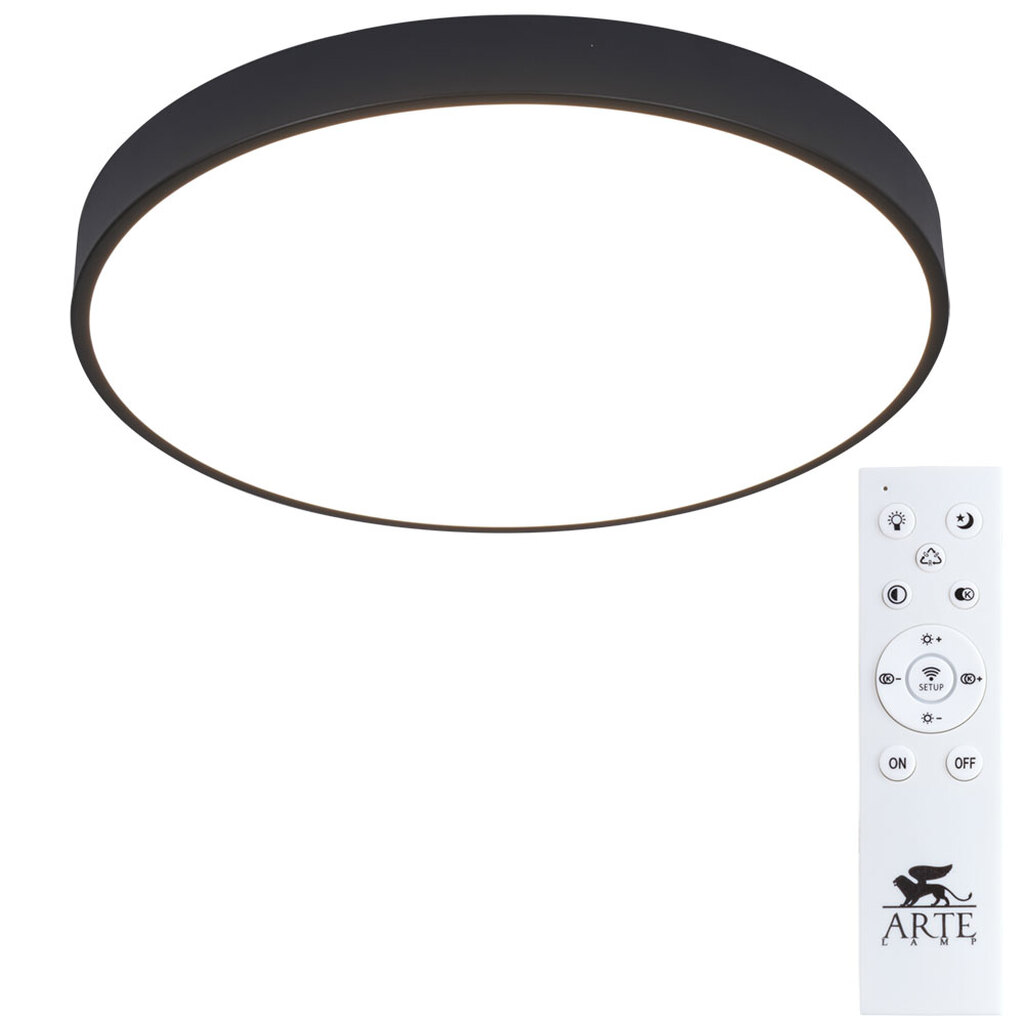 Потолочный светильник Arte Lamp A2672PL-1BK