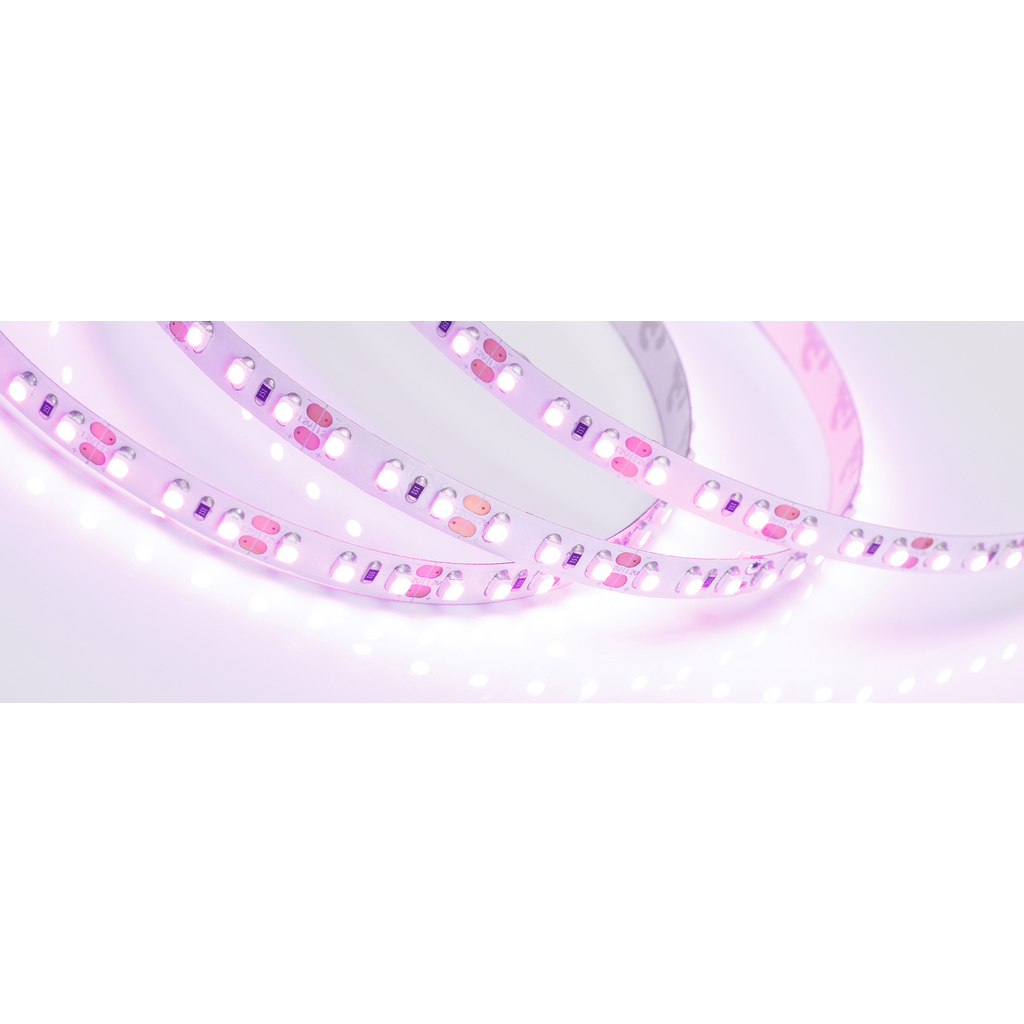 Светодиодная лента Arlight RT-A120-8mm 12V Pink 0158972