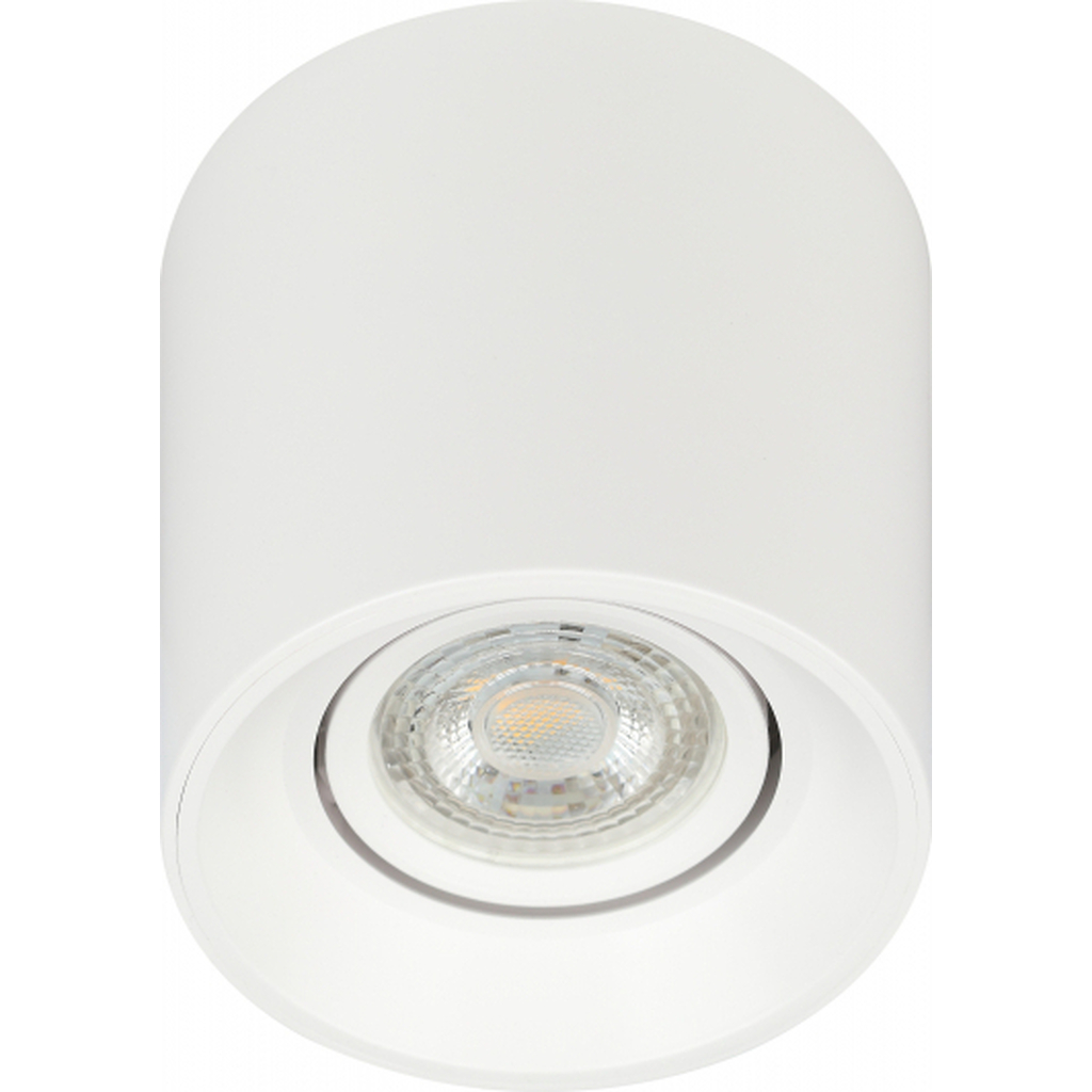 Настенно-потолочный светильник спот ЭРА OL251 WH MR16/GU5.3, белый, поворотный Б0054383 ERA