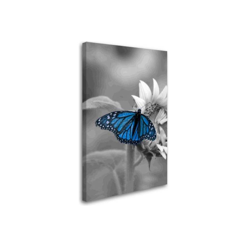 Постер Студия фотообоев Синяя бабочка 80x50 2229054
