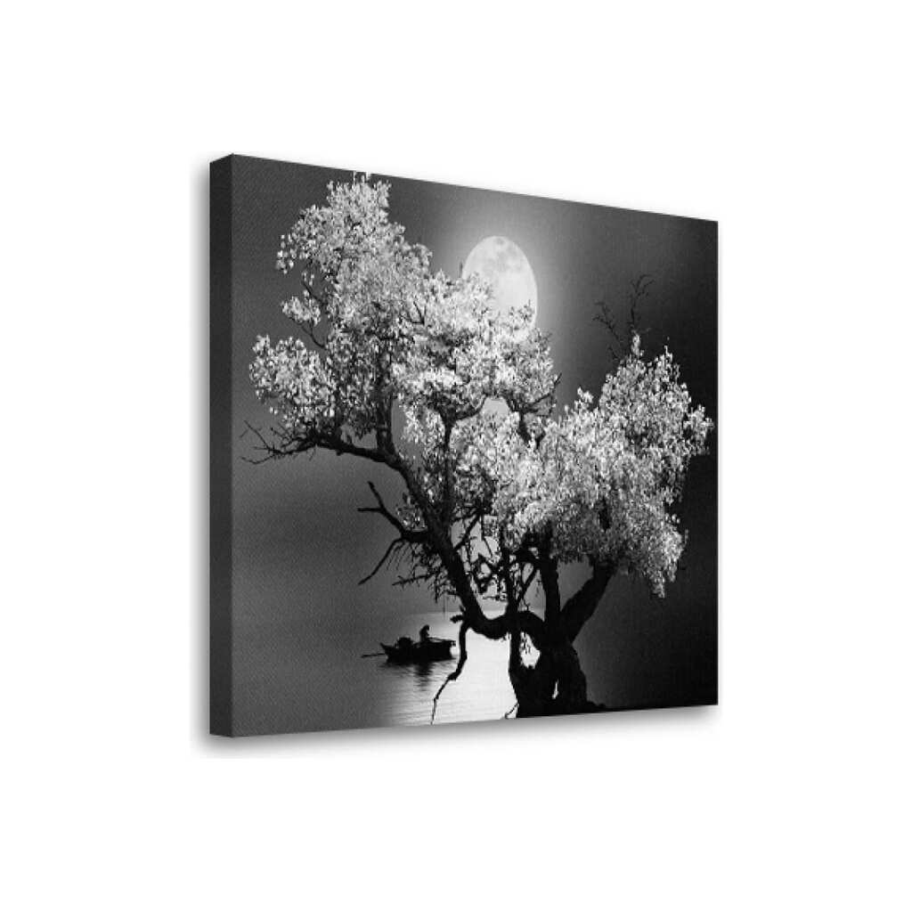 Картина-постер Студия фотообоев одинокое дерево 50x50 см 2336650