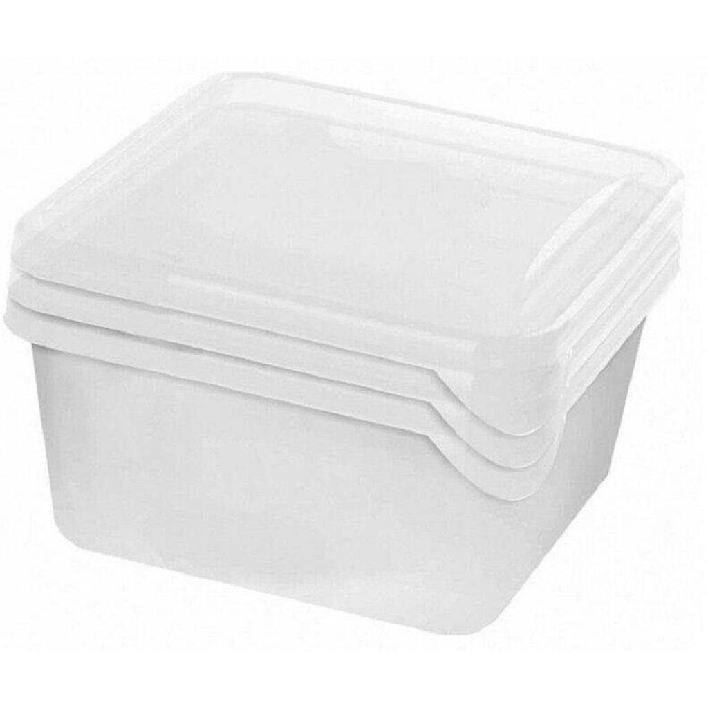 Набор контейнеров PLAST TEAM PT204012999 Frozen квадр. нат. 0,75л (3 предмета)
