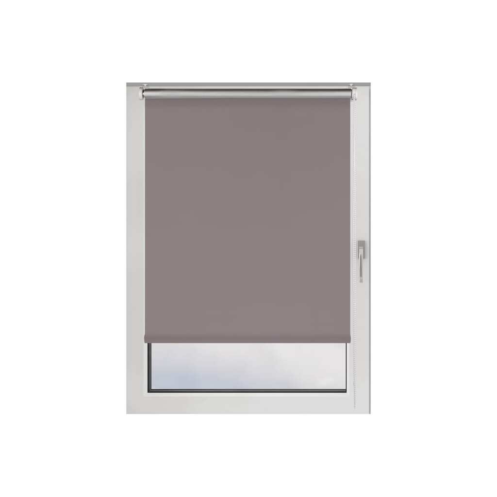 Рулонная штора PRAKTO BLACKOUT SILVER 45x160 см, серый 9403219740