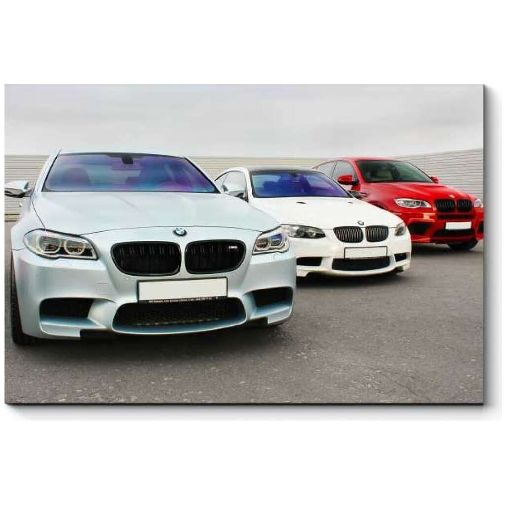 Картина Picsis BMW 660x430x40 мм 5396-10960498