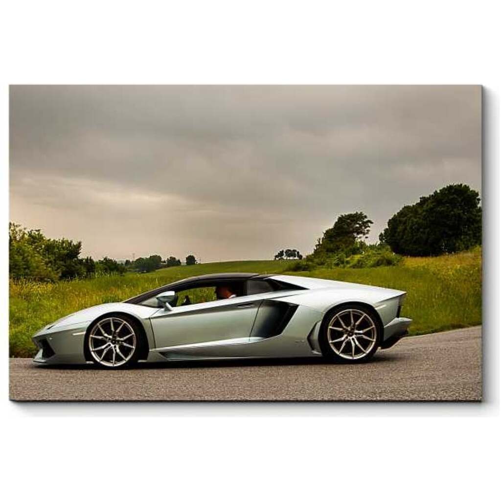 Картина Picsis Silver Lamborghini Aventador 660x430x40 мм 5337-10524886