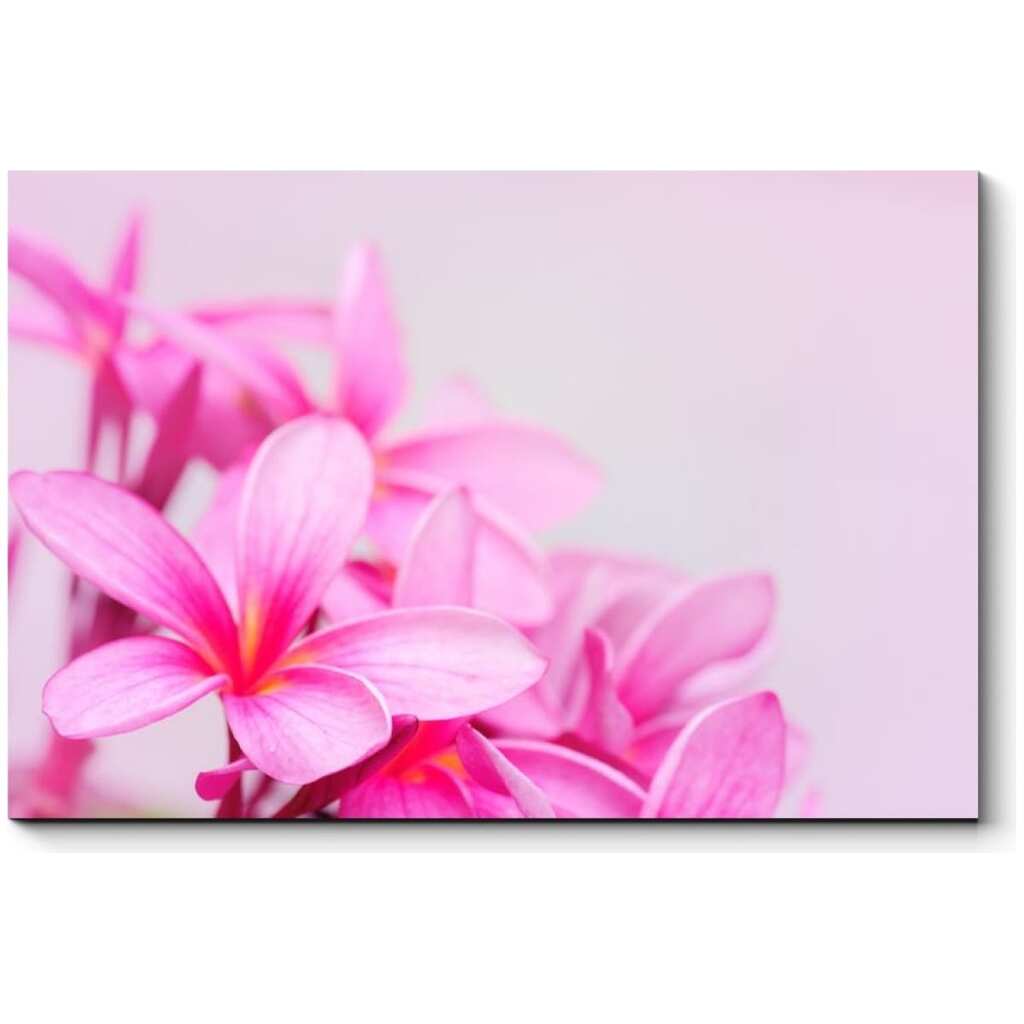 Картина Picsis Свежие тропические цветы 660x430x40 2840-10304478
