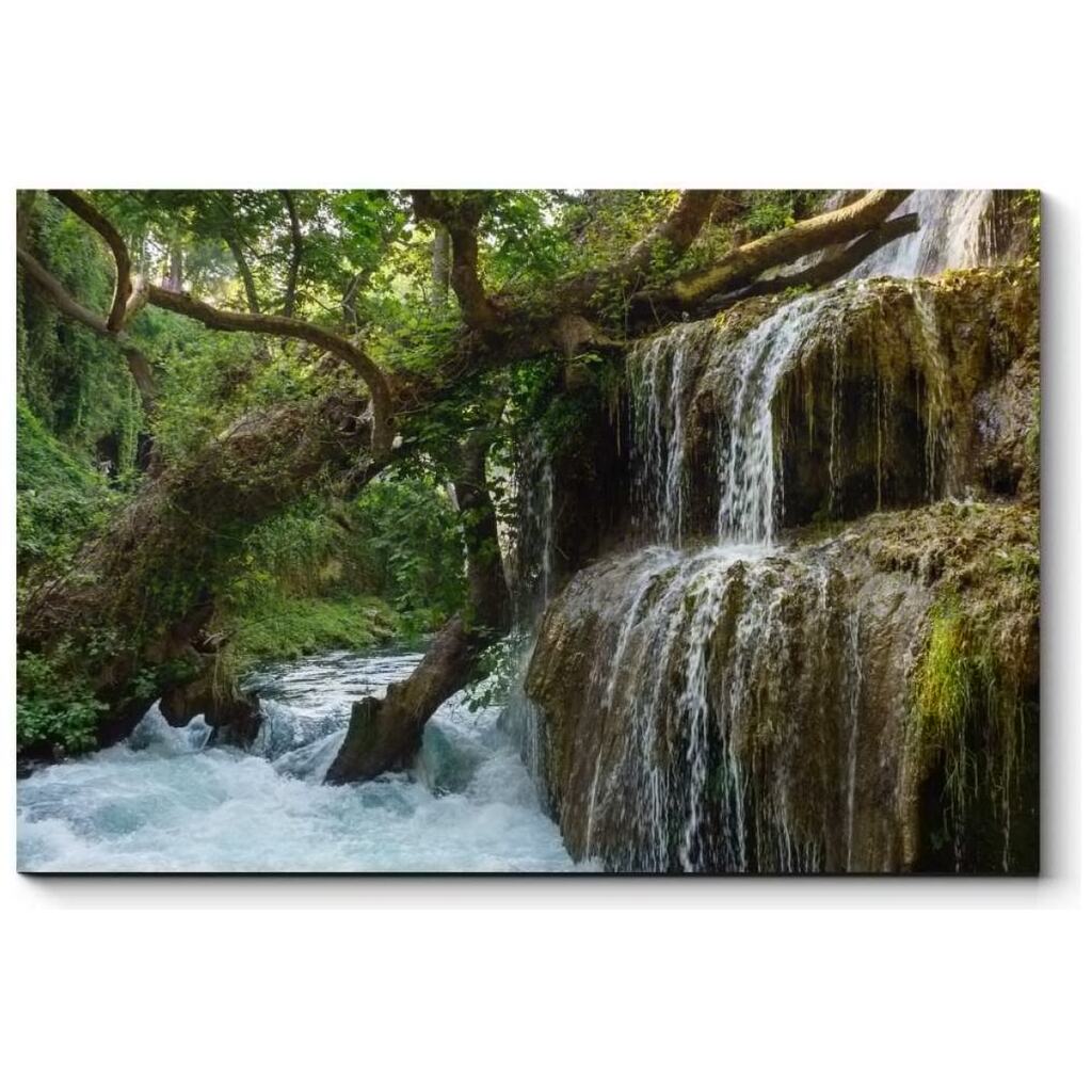Картина Picsis Водопад в лесу 660x430x40 мм 4281-12840682
