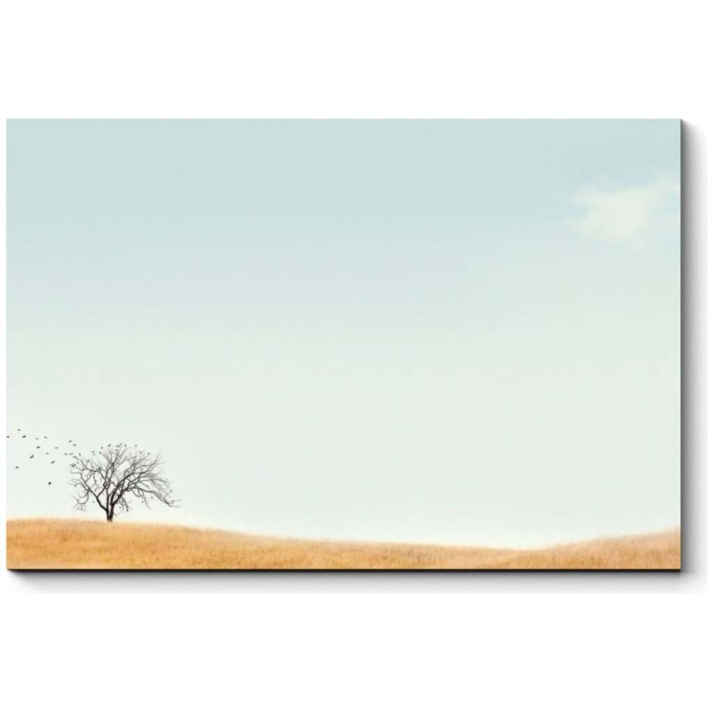 Картина Picsis Осень в поле 660x430x40 мм 6241-13209384