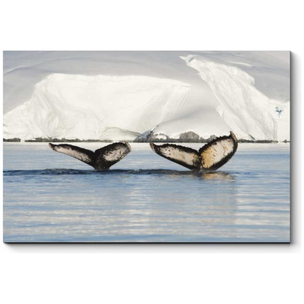 Картина Picsis Пара влюбленных китов 660x430x40 мм 941-10460816