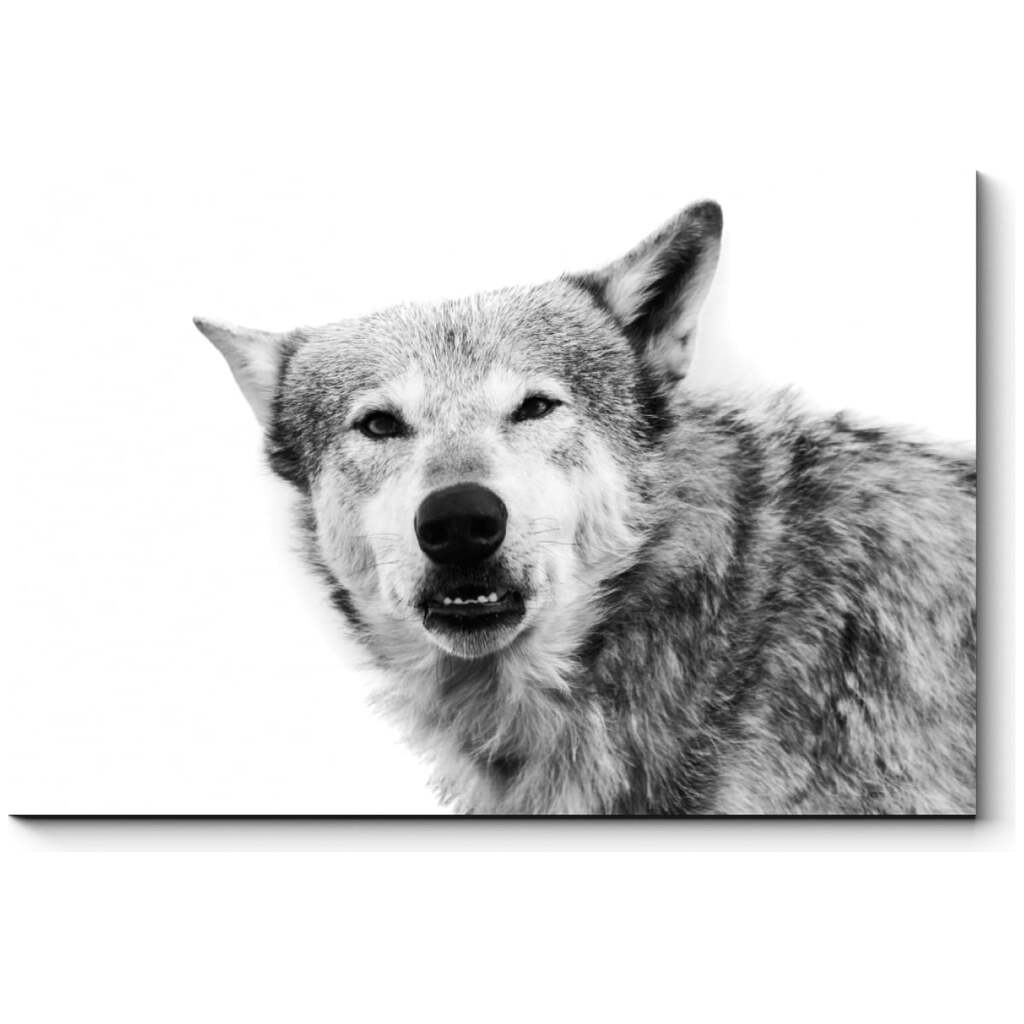 Картина Picsis Монохромный волк 660x430x40 мм 3743-9846638