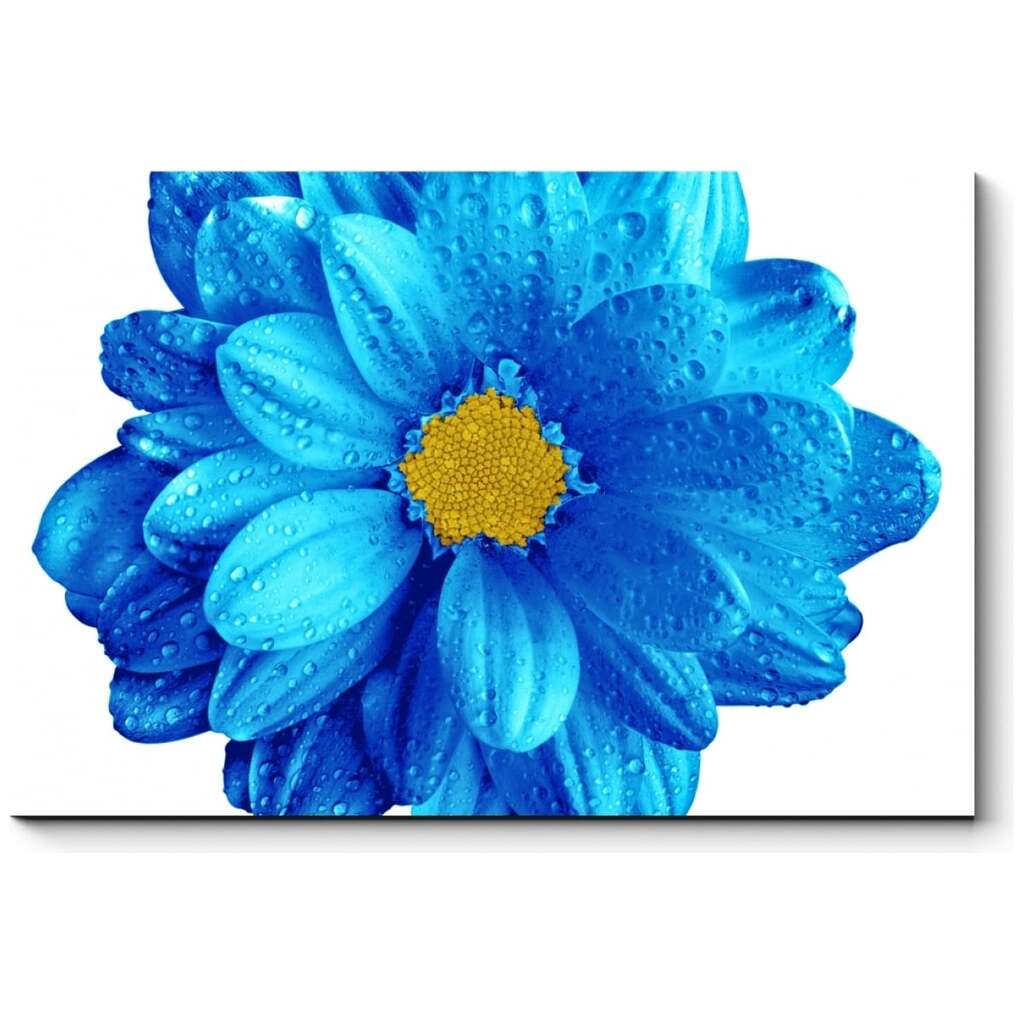 Картина Picsis Небесной красоты цветок 660x430x40 мм 5951-13183450