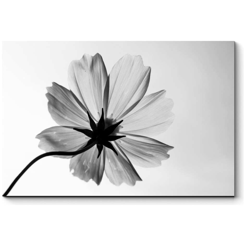 Картина Picsis Монохромный цветок 660x430x40 мм 2802-10794191