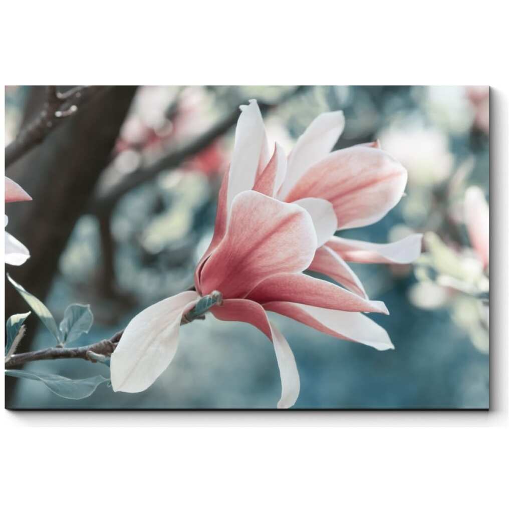 Картина Picsis Нежные цветы магнолии 660x430x40 мм 696-10403729