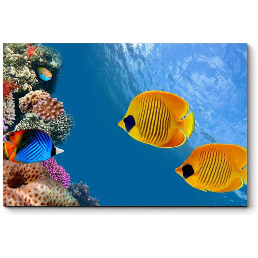 Картина Picsis Солнечные рыбки, 660x430x40 1314-9867817