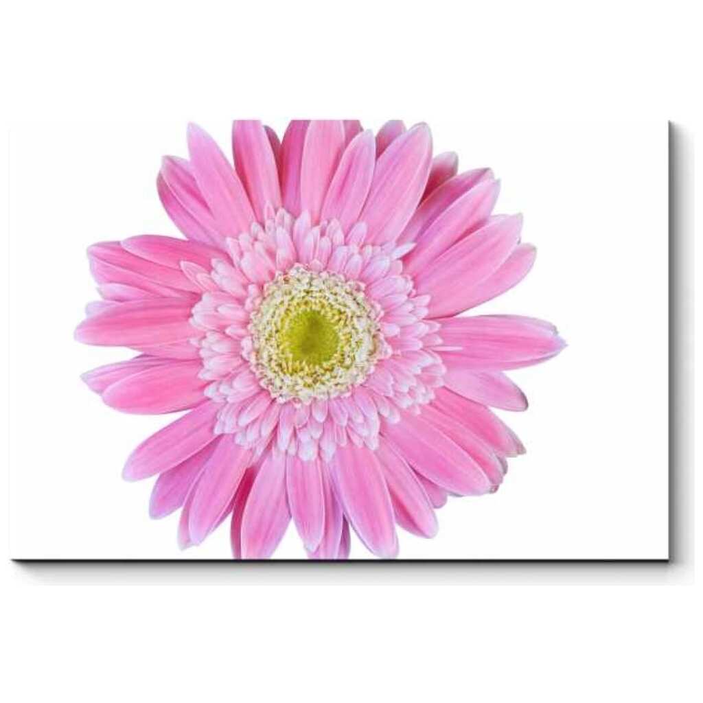 Картина Picsis Ярко-розовая гербера, 660x430x40 мм 5946-13187193