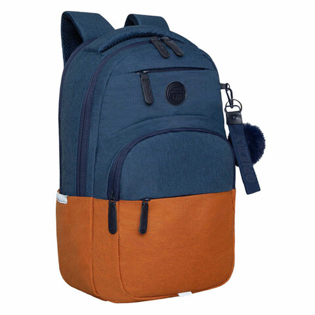 Рюкзак GRIZZLY школьный, укреп. спинка, 2 отделения, д/дев., BLUE/ORANGE, 43х27,5х16 см, RD-341-2/3