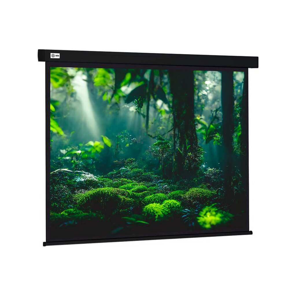 Настенно-потолочный рулонный экран CACTUS 213x213 см Wallscreen CS-PSW-213x213-BK 1:1 черный 1678341 CS-PSW-213X213-BK