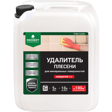 Удалитель плесени с минеральных поверхностей PROSEPT FUNGI CLEAN 5л 019-5