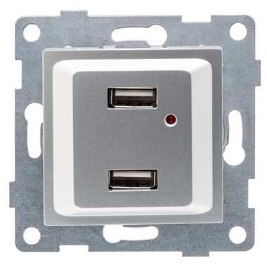 Розетка USB GUSI ELECTRIC Ugra, двойная, СУ, серебро С11USB2-004