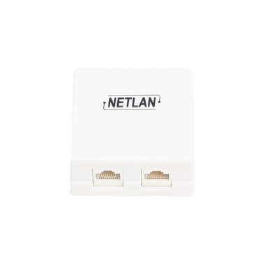 Настенная розетка NETLAN 2 порта, категория 5e, RJ45/8P8C, неэкранированная, белая, EC-UWO-2-UD2-WT-10