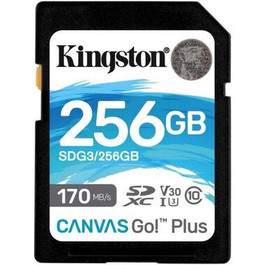 Флеш карта SDXC 256Gb Kingston Canvas Go Plus UHS-I U3 V30 (SDG3/256GB)