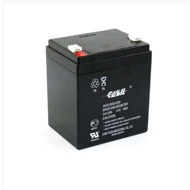 Аккумуляторная батарея CASIL CA1250 10601030