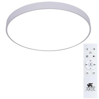 Потолочный светильник Arte Lamp ARENA A2671PL-1WH