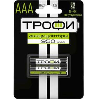 Аккумуляторная батарея Трофи HR032BL 950 mAh C0032097