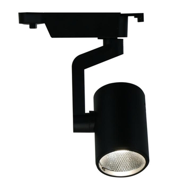 Потолочный светильник Arte Lamp A2310PL-1BK