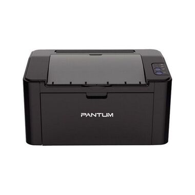 Принтер Pantum P2516 Black (A4, 1200dpi, 22ppm, 32Mb, Lan, USB) (PA1P2516) P2516_ПУ