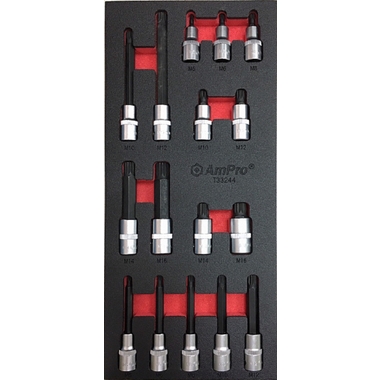Набор головок в мягком ложементе (16 шт; Spline М5-М16; 1/2) AmPro T33244