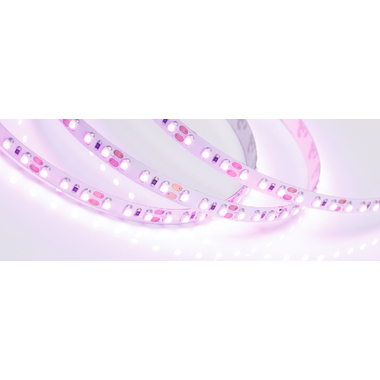 Светодиодная лента Arlight RT-A120-8mm 12V Pink 0158972