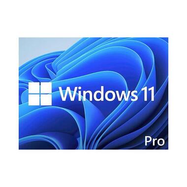 ПО Microsoft Windows 11 Professional 64-bit English Single package DVD OEM (FQC-10529 in pack)