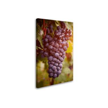 Постер Студия фотообоев Гроздь винограда 80x50 2232065