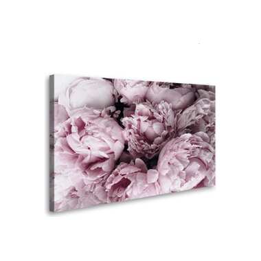 Картина-постер Студия фотообоев розовые пионы 80x50 см 2236636