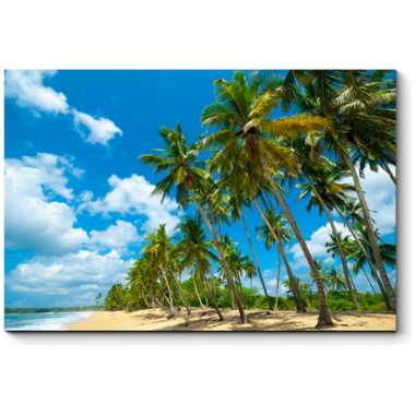 Картина Picsis Пляж на Шри-Ланке 660x430x40 3093-10351089