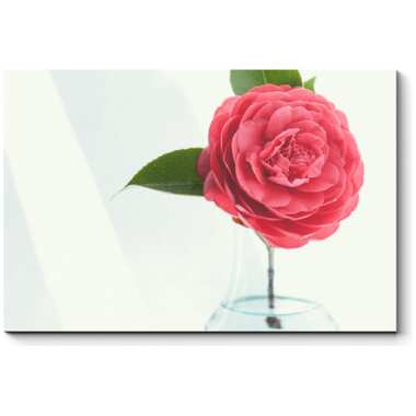 Картина Picsis Прелестный цветок 660x430x40 6398-13206822