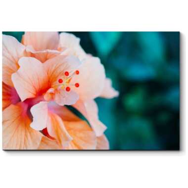 Картина Picsis Макро цветок, 660x430x40 мм 4563-10031909