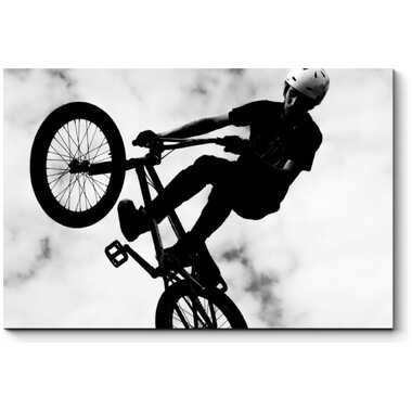 Картина Picsis Силуэт гонщиков bmx 660x430x40 5547-10974330