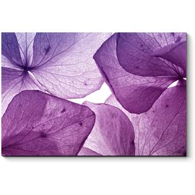 Картина Picsis Тончайшие лепестки пурпура, 660x430x40 мм 4542-12455029