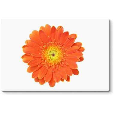 Картина Picsis Огненно-оранжевая гербера 660x430x40 мм 5950-13184375